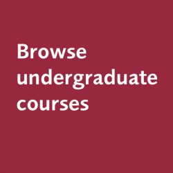 browse undergrad courses